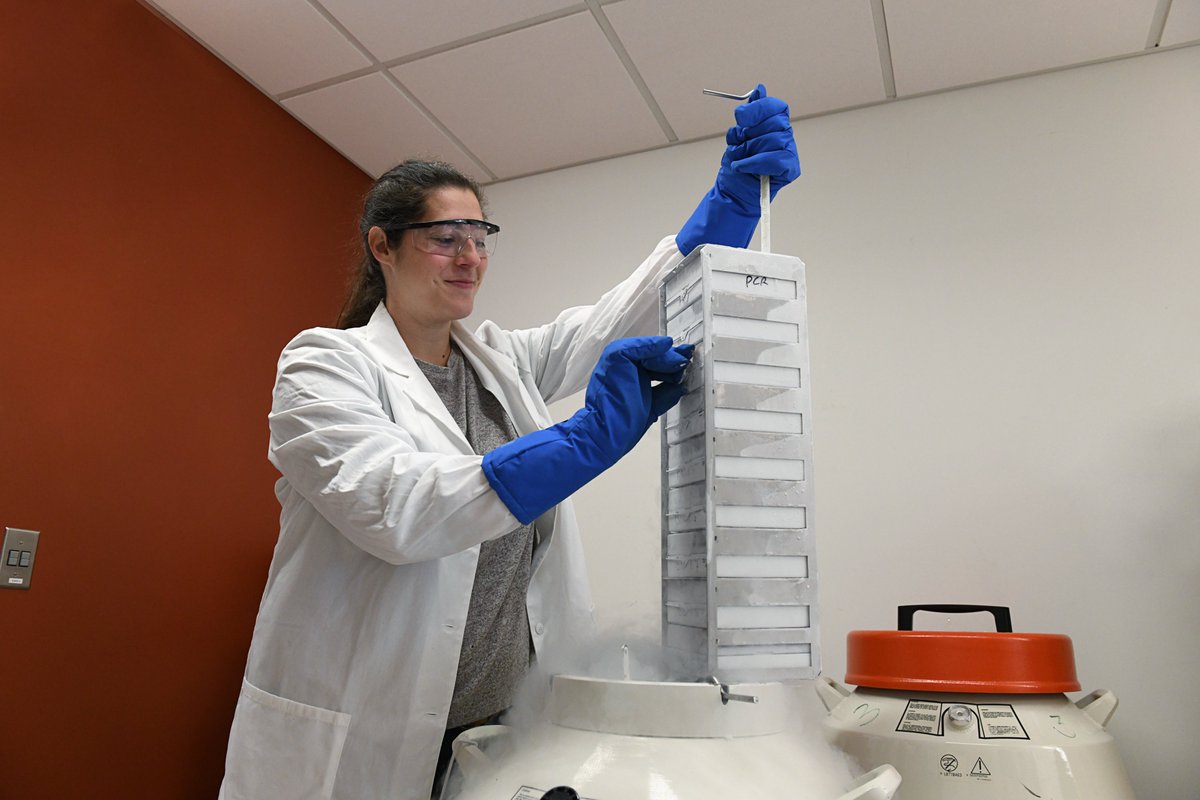 Mikaela Simon received an SRI President’s Presenter’s Award for her project entitled "Activin and FSTL3 Possess Opposing Actions Required for Hemochorial Placentation" <a href="/SRIWomensHealth/">SRI</a>