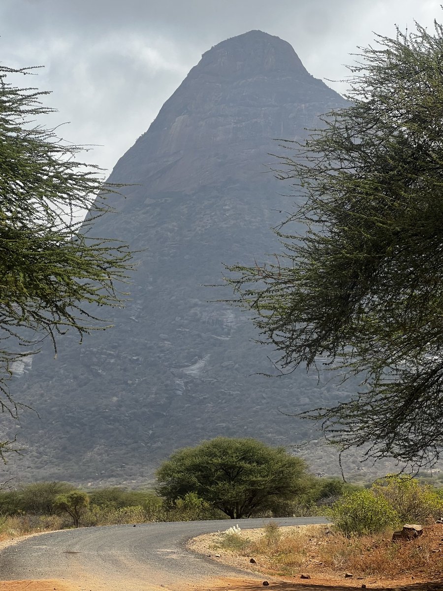 mundu_useful's tweet photo. This one looks taller than Mt. Kenya but because it is in dry (low rainfall) Kenya it never got attention. The white man concentrated on fertile lands. Otherwise we would be having Mt. Laisamis. https://t.co/w9FbU5B3MS