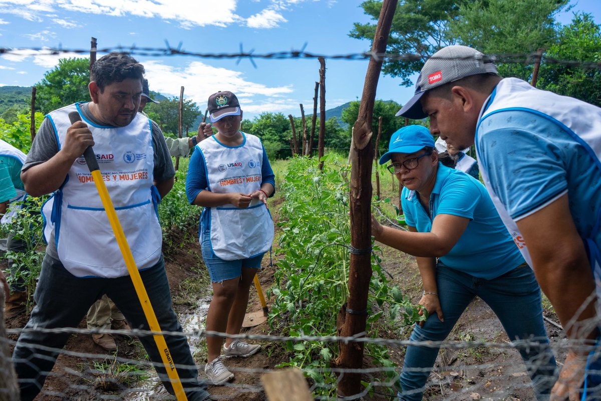WFP_SV's tweet photo. ¡WFP 🇸🇻no trabaja solo!

WFP une fuerzas con socios clave para responder a emergencias 🚨, crear soluciones sostenibles ♻️y construir un futuro sin hambre en El Salvador 🌎💙 https://t.co/AytzYStgIo