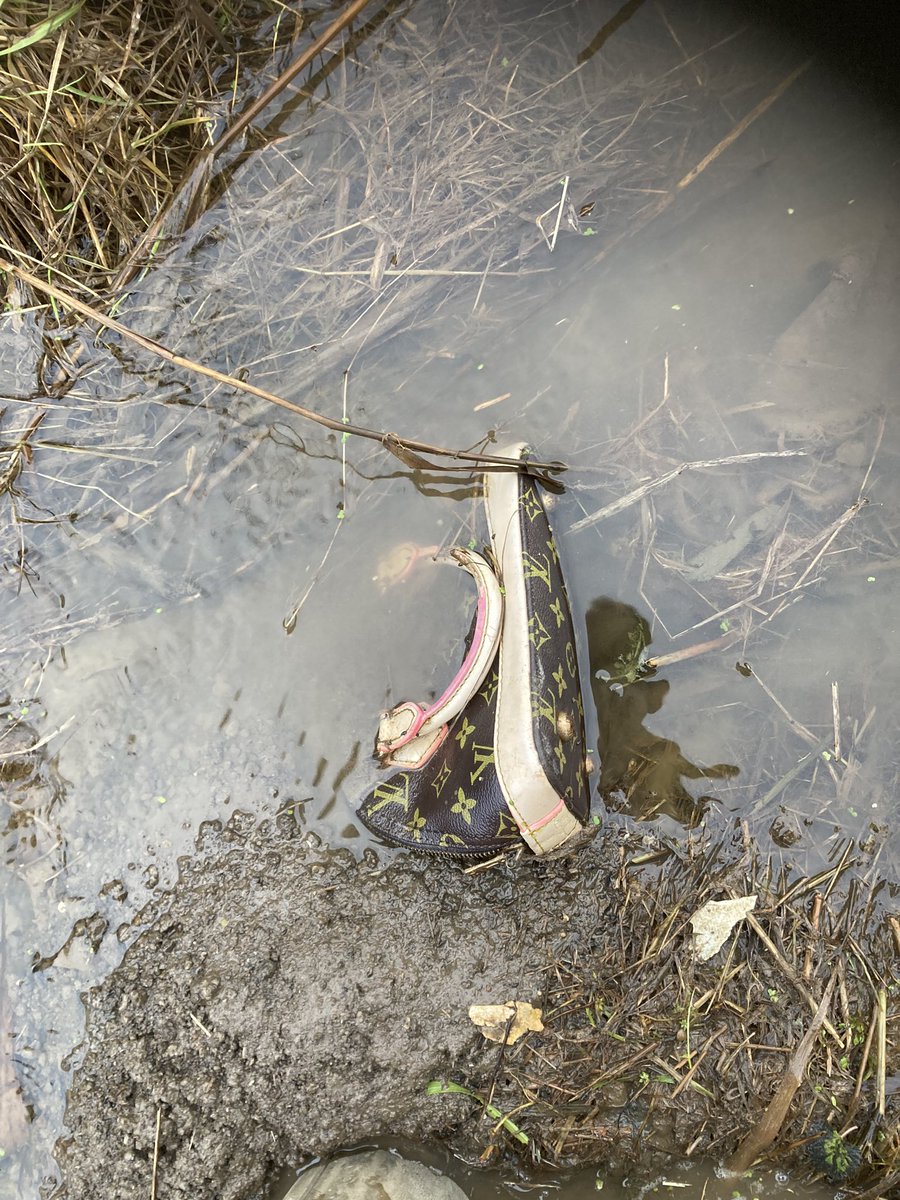 Sean Lumley tweet media