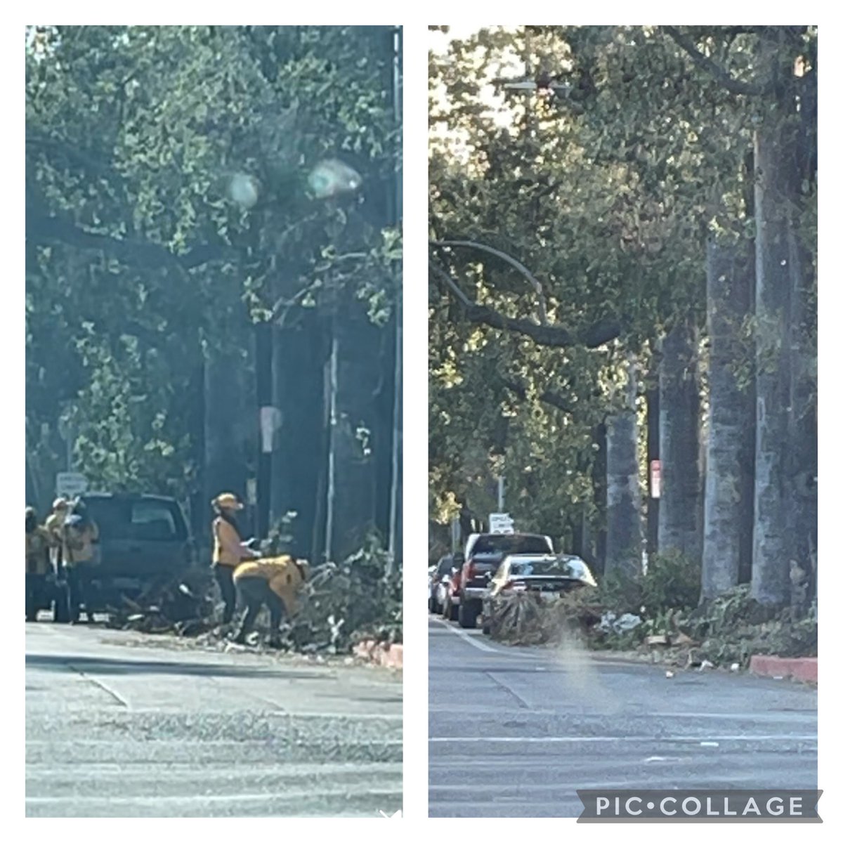 CATAHOULA1877's tweet photo. Video was from January 18th @ScientologyVM was allegedly cleaned. The next photo was the same location, but 3 days later, it's all for photo 📸 credit  smh.
@DanWalksLA @AmyJjjjj @ImAuditLA  @PasadenaGov @ABC7 @MayorOfLA @AnnaB37738 @TCD_Trialfiles @latimes @FoxNews @nickshirleyy