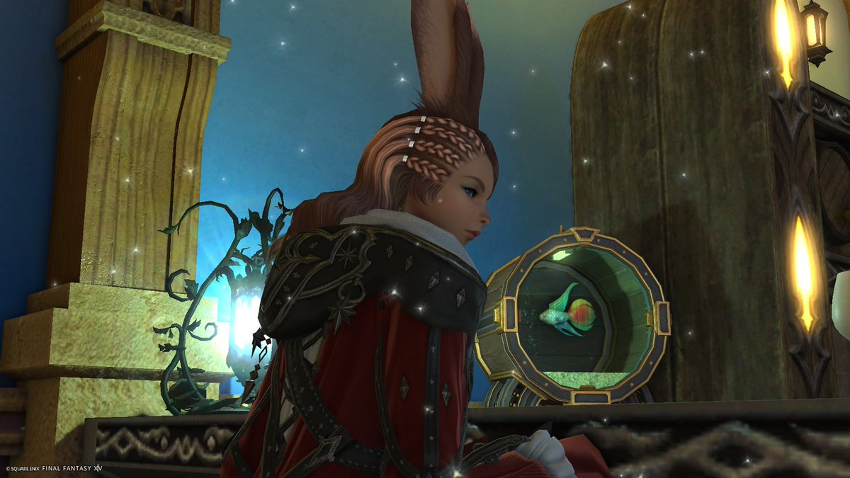 ru_ta318's tweet photo. 気分転換
#FF14  #ヴィエラ https://t.co/Mh72OLuiup