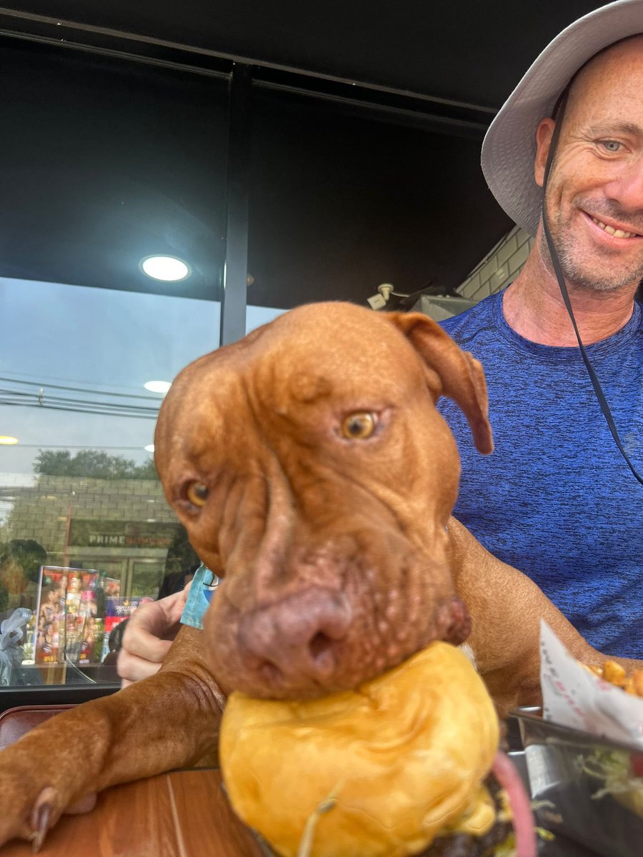 Niall Harbison tweet media