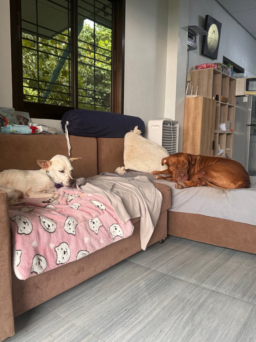 Niall Harbison tweet media