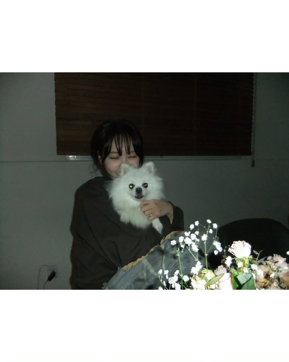KV2w1's tweet photo. 느좋 인스타. . . ᵒ̴̶̷̥́ ·̫ ᵒ̴̶̷̣̥̀ https://t.co/2tMqwty27M