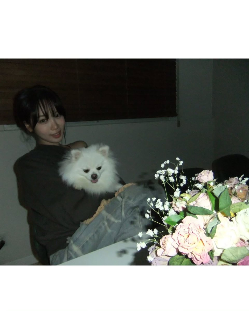 KV2w1's tweet photo. 느좋 인스타. . . ᵒ̴̶̷̥́ ·̫ ᵒ̴̶̷̣̥̀ https://t.co/2tMqwty27M
