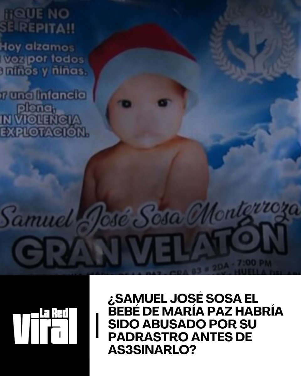 LA RED VIRAL tweet media