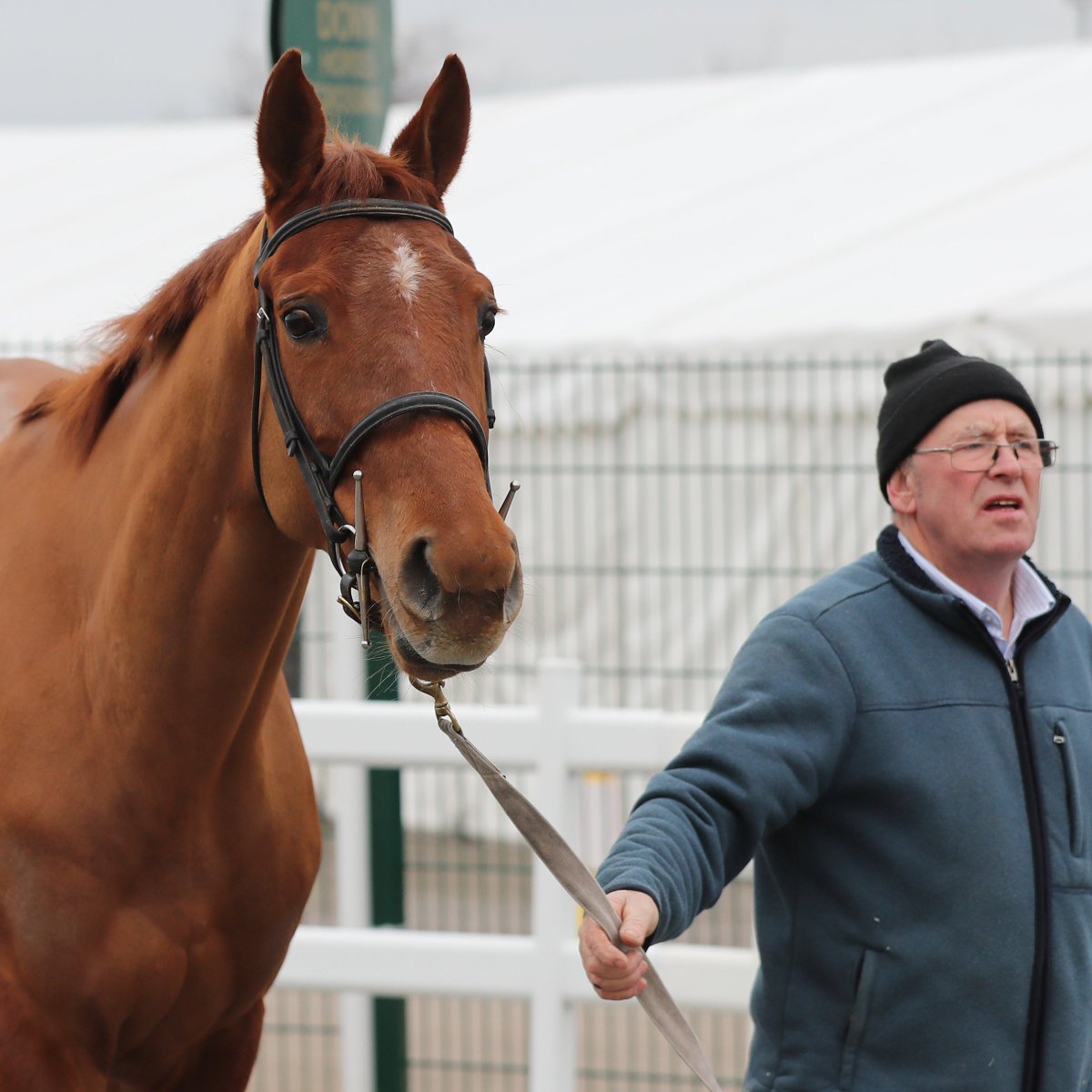 Tattersalls Cheltenham (@tattscheltenham) on Twitter photo The 7yo Mick Jets gets her chasing career off the mark on her second start over fences
Wins by 1️⃣8️⃣ lengths <a href="/WetherbyRaces/">Wetherby Racecourse</a> for trainer Phil Kirby
#CheltenhamJanuary 2023
Scar Stables ➡️ <a href="/PKRwinners/">Philip Kirby</a>, £26,000
🗓️ Don't miss our January Sale THIS Saturday
⏰ After racing The 7yo Mick Jets gets her chasing career off the mark on her second start over fences
Wins by 1️⃣8️⃣ lengths <a href="/WetherbyRaces/">Wetherby Racecourse</a> for trainer Phil Kirby
#CheltenhamJanuary 2023
Scar Stables ➡️ <a href="/PKRwinners/">Philip Kirby</a>, £26,000
🗓️ Don't miss our January Sale THIS Saturday
⏰ After racing