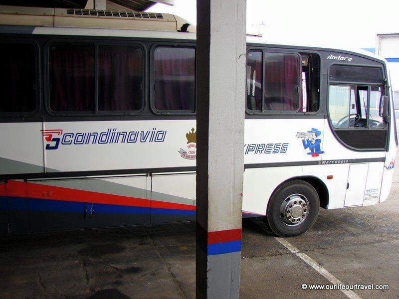 BusesNation's tweet photo. #ScandinaviaExpress
IN GOD WE TRUST
legend Aliyefanya Tusafiri kama Wabrazil https://t.co/cearMYyuXh