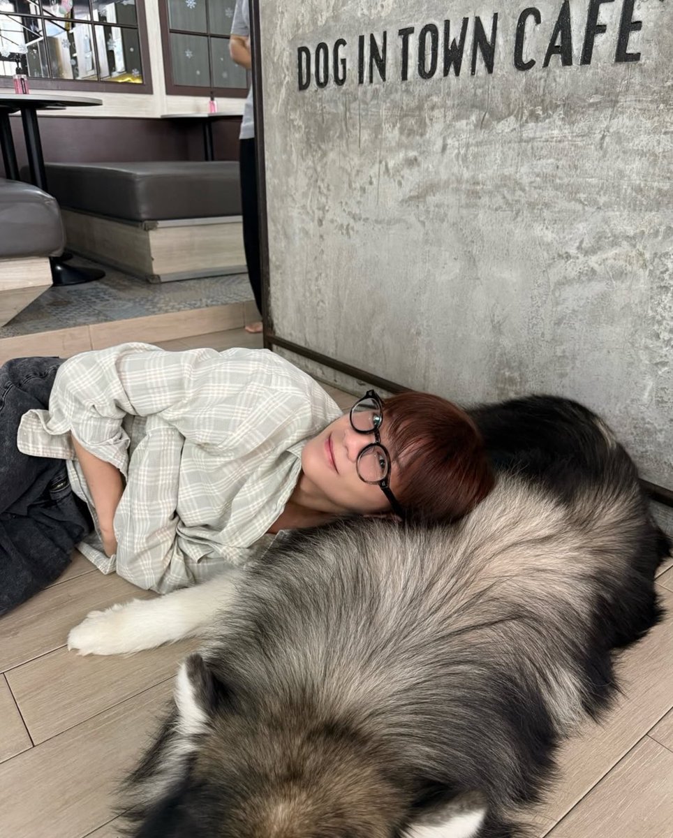 yunarin_1125's tweet photo. かわいいだけだと思ったら大間違い❕
メガネを取れば美男子Ottoくん🦔🫧

長くて綺麗な手足が特徴的で、ダンスを踊っている姿は普段のぽわぽわした可愛らしい雰囲気とは違い、とってもカッコよくて美しいアイドルなんです……🎲💫

是非応援してください！
#OTTOsippavitch #789SURVIVALJP https://t.co/RLkBRb44Ck