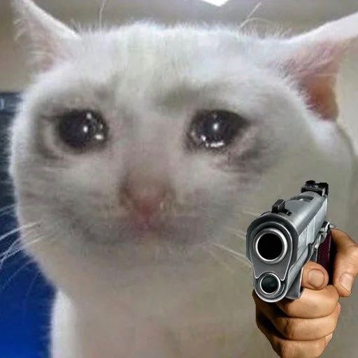 All the other cats with the pumped up charts, 

You’d better run, better run, outrun my gun. 

- $Crying Cat 

Ca:
2ZHYWGndLx76H7NCN4ieMRHSRAAiiWEtJFpHmmXYmE6Z