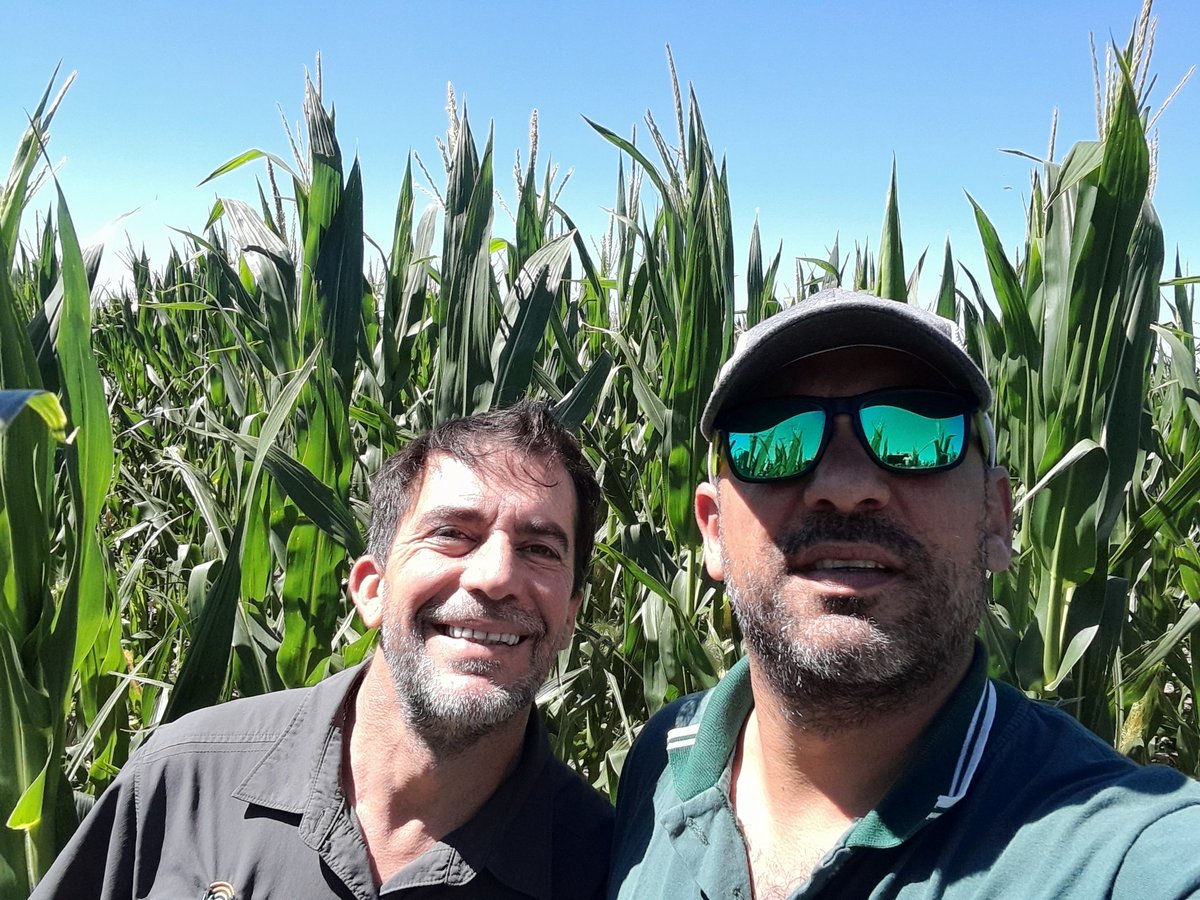 Mariano Martinez tweet media