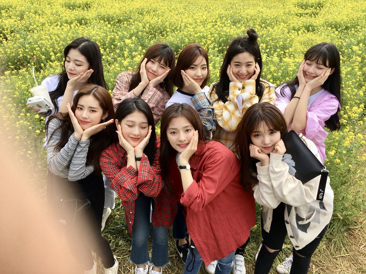 fromis_9 THAILAND tweet media