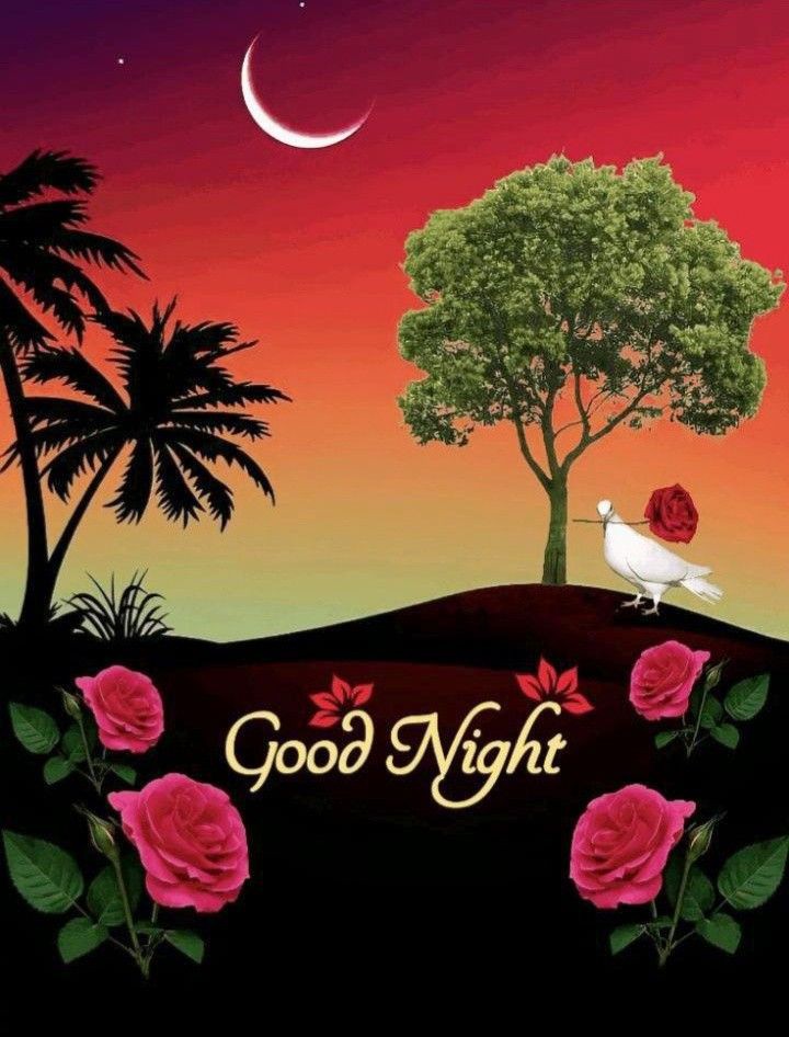 जब शौक के लिए समय न 
मिले तो समझ लेना,
"Life का Best Chapter 
शुरू हो गया है 🥀🌼

शुभ रात्रि Good Night X Friends 🌺
