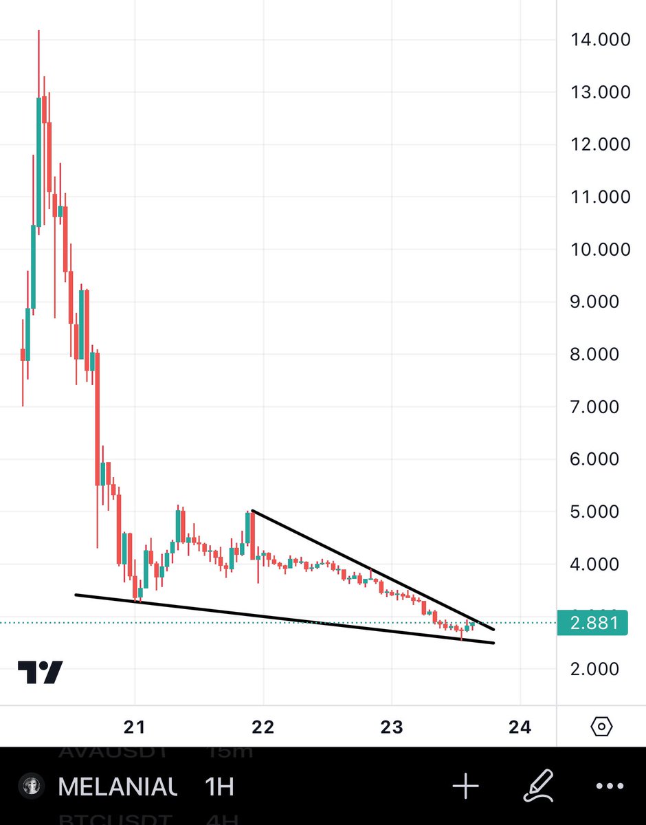 BitcoinHabebe tweet media