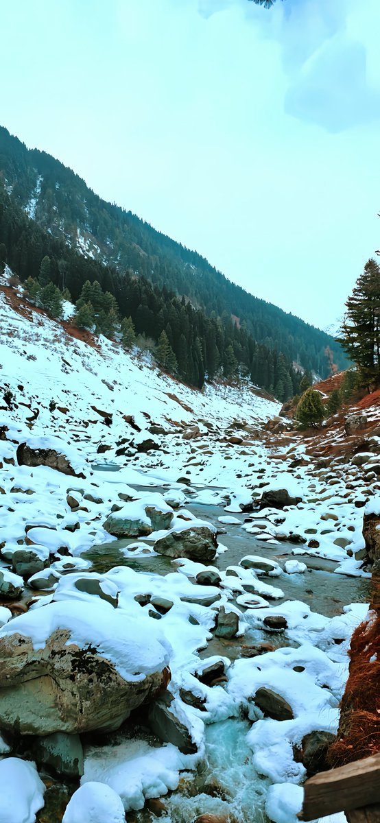 sofitalib0090's tweet photo. Lost in the Winter’s Embrace ❄️

Snowfall, Winter Forest, Icy Stream, Nature Retreat, Adventure, Solitude, Scenic Beauty, 
#WinterMagic #SnowyGetaway #NatureEscape https://t.co/107pnd5kLV