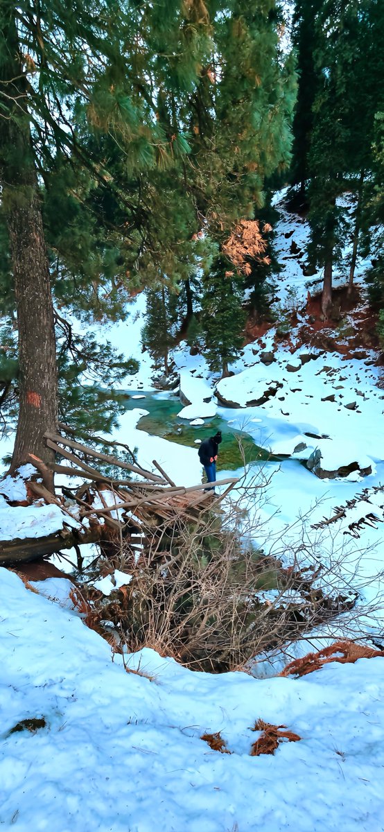 sofitalib0090's tweet photo. Lost in the Winter’s Embrace ❄️

Snowfall, Winter Forest, Icy Stream, Nature Retreat, Adventure, Solitude, Scenic Beauty, 
#WinterMagic #SnowyGetaway #NatureEscape https://t.co/107pnd5kLV