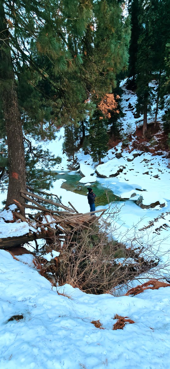 sofitalib0090's tweet photo. Lost in the Winter’s Embrace ❄️

Snowfall, Winter Forest, Icy Stream, Nature Retreat, Adventure, Solitude, Scenic Beauty, 
#WinterMagic #SnowyGetaway #NatureEscape https://t.co/107pnd5kLV