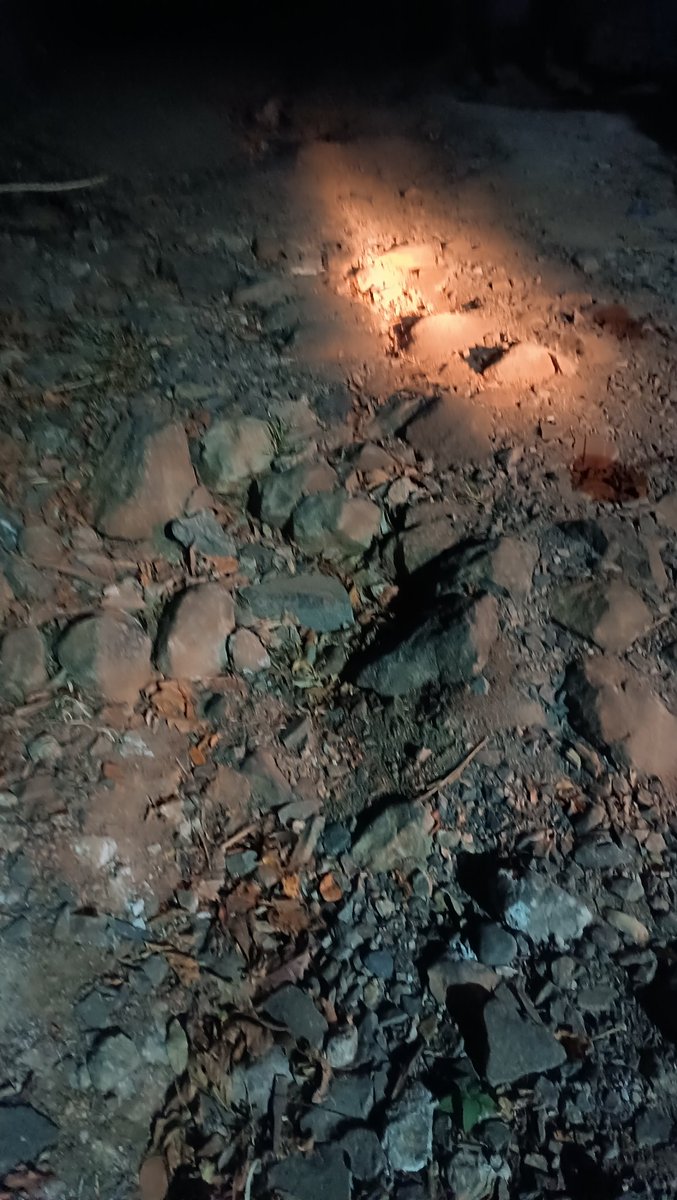 kateEv10's tweet photo. @ObraMunicipal Omg 😱 prioridades San Jose villa Nueva la libertad Calle la lomita 4 Calle podiente  completamente olvidado ,ya Basta de usar esa estupida frase https://t.co/ffHIfoJw0E