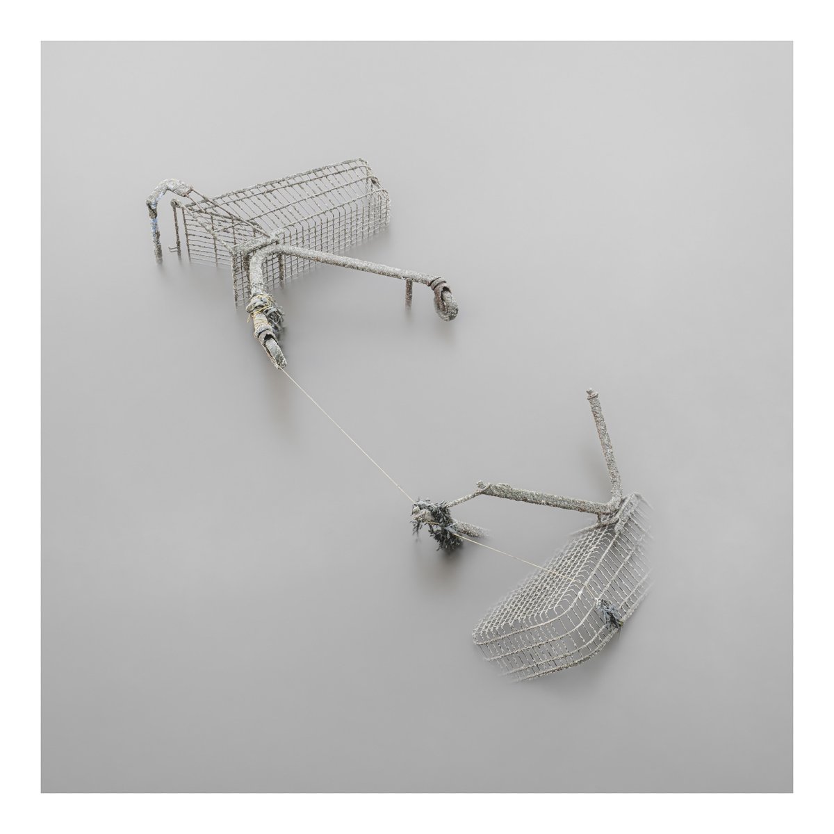🌟📸 #FSPrintMonday Competition Top 4 Highlights 🏆⁠
⁠
🥇 Congratulations <a href="/davidqueenan/">David Queenan</a>

#Photography #foreveryprint #powerofprint #Fotospeed