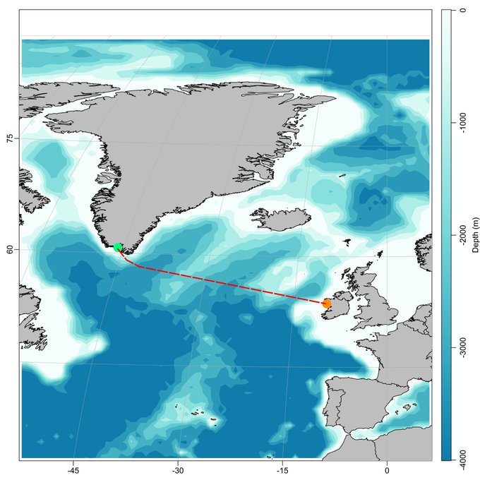 IFI Research (@researchifi) on Twitter photo <a href="/ResearchIFI/">IFI Research</a> tracked a wild salmon from where it was tagged in #Greenland by <a href="/NOAAFisheries/">NOAA Fisheries</a> back to its native catchment the National Salmonid Index Catchment (River Erriff). This was a return journey to spawn of 2300km. #salmonconseration tinyurl.com/4k375sam <a href="/ResearchIFI/">IFI Research</a> tracked a wild salmon from where it was tagged in #Greenland by <a href="/NOAAFisheries/">NOAA Fisheries</a> back to its native catchment the National Salmonid Index Catchment (River Erriff). This was a return journey to spawn of 2300km. #salmonconseration tinyurl.com/4k375sam