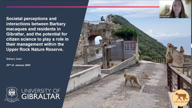Uni_Gib's tweet photo. Yesterday, PhD student Bethany Gadd delivered a webinar to 35+ attendees from 8 countries, exploring Gibraltar's macaques, their interactions with residents, and the role of citizen science in their management.

Thank you to all who joined!

#UniversityofGibraltar https://t.co/JPmZL5ljt3