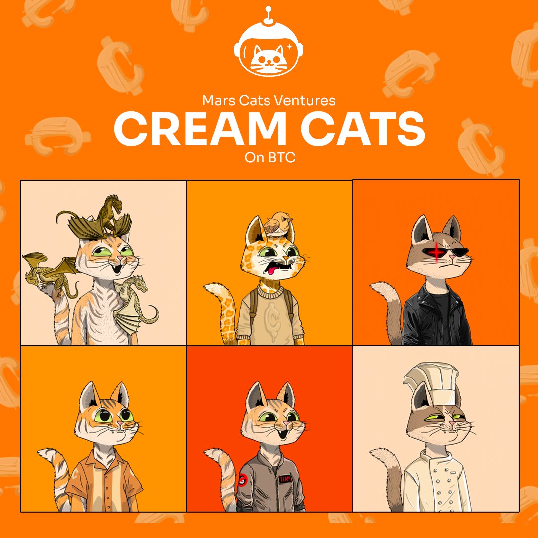 Hear meowt!

A Cream Cat Strategic Reserve

Only 333 Cream Cats exist on Ordinals, out of 21 million Bitcoin.

Do the maffs!