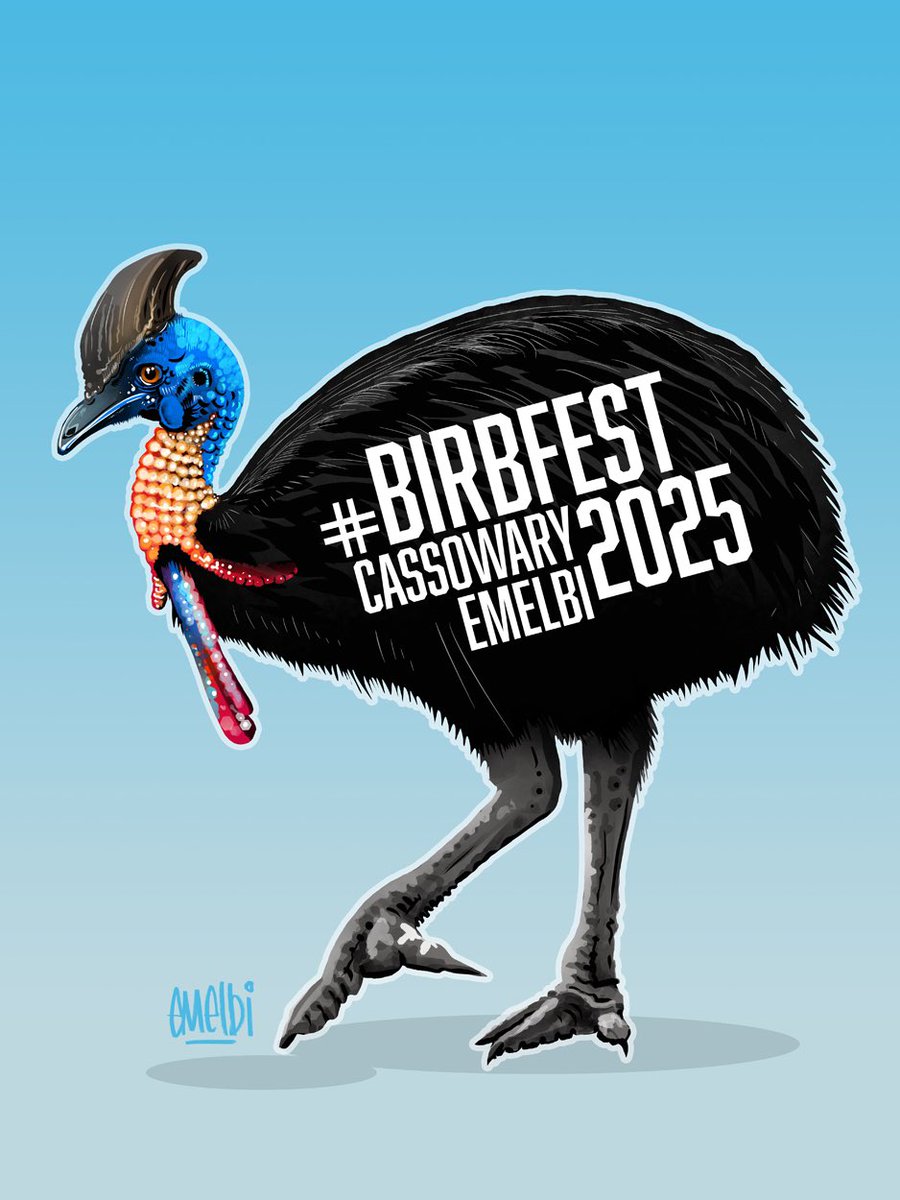 Cassowary. My image for day twenty two of #birbfest2025 #procreate #procreateartist #birdart #birbfest #cassowary