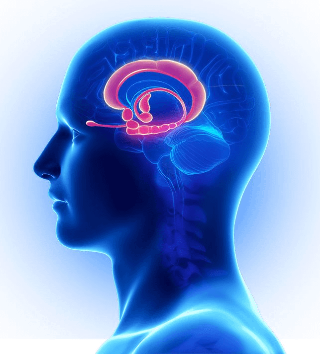 Your scattered mind isn't a character flaw—it's your survival system on high alert.

When trauma convinces your brain the world isn’t safe, hyper-vigilance consumes your ability to focus.

Here’s how to help your nervous system feel safe enough to focus again: 🧵