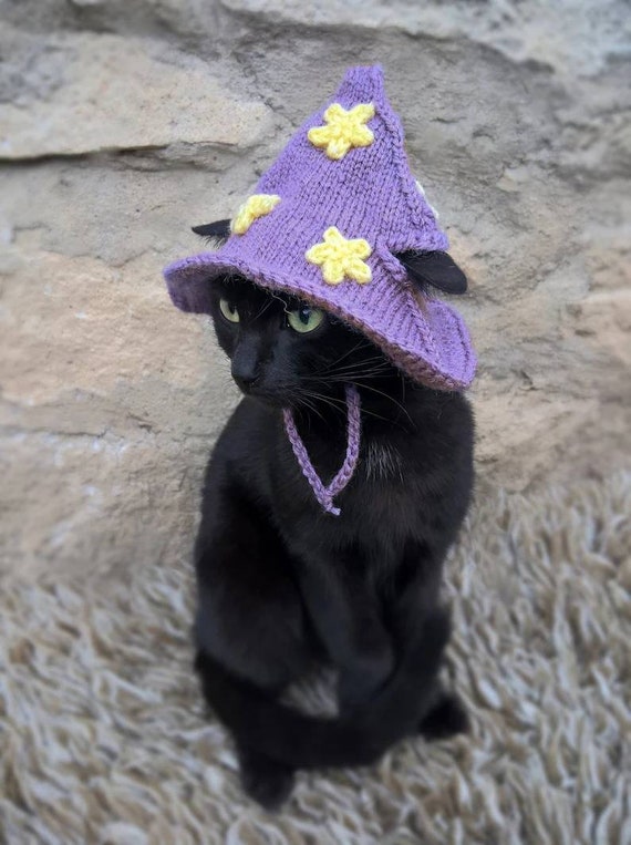GreenSlipStitch's tweet photo. @ShouldHaveCat Hello from cats in hats 🤗
https://t.co/rDfISKY1ZG https://t.co/2I3CycgY42