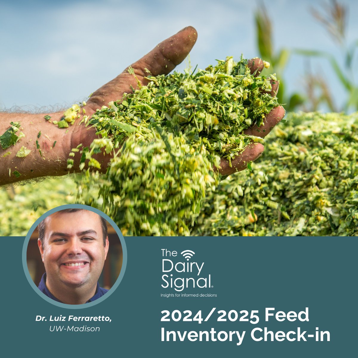 Maximizing Feed Efficiency: 2024 Silage Review &amp; 2025 Strategies

Join Dr. Luiz Ferraretto from UW-Madison on The Dairy Signal as he reviews crop outcomes, shares tips for managing rations in 2025, and discusses effective feed inventory strategies.

🔗: mediasiteconnect.com/site/pdpw-dair…