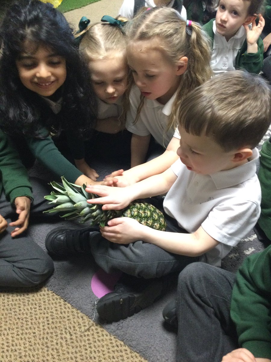 firsprimarysale's tweet image. #RecAsh Today, as part of our topic on Africa we listened to the story of Handa’s Surprise and then explored the fruit from the story. We were surprised at what was inside some of them; the colour of the mango, the juicy seeds in the passion fruit and the stones inside.