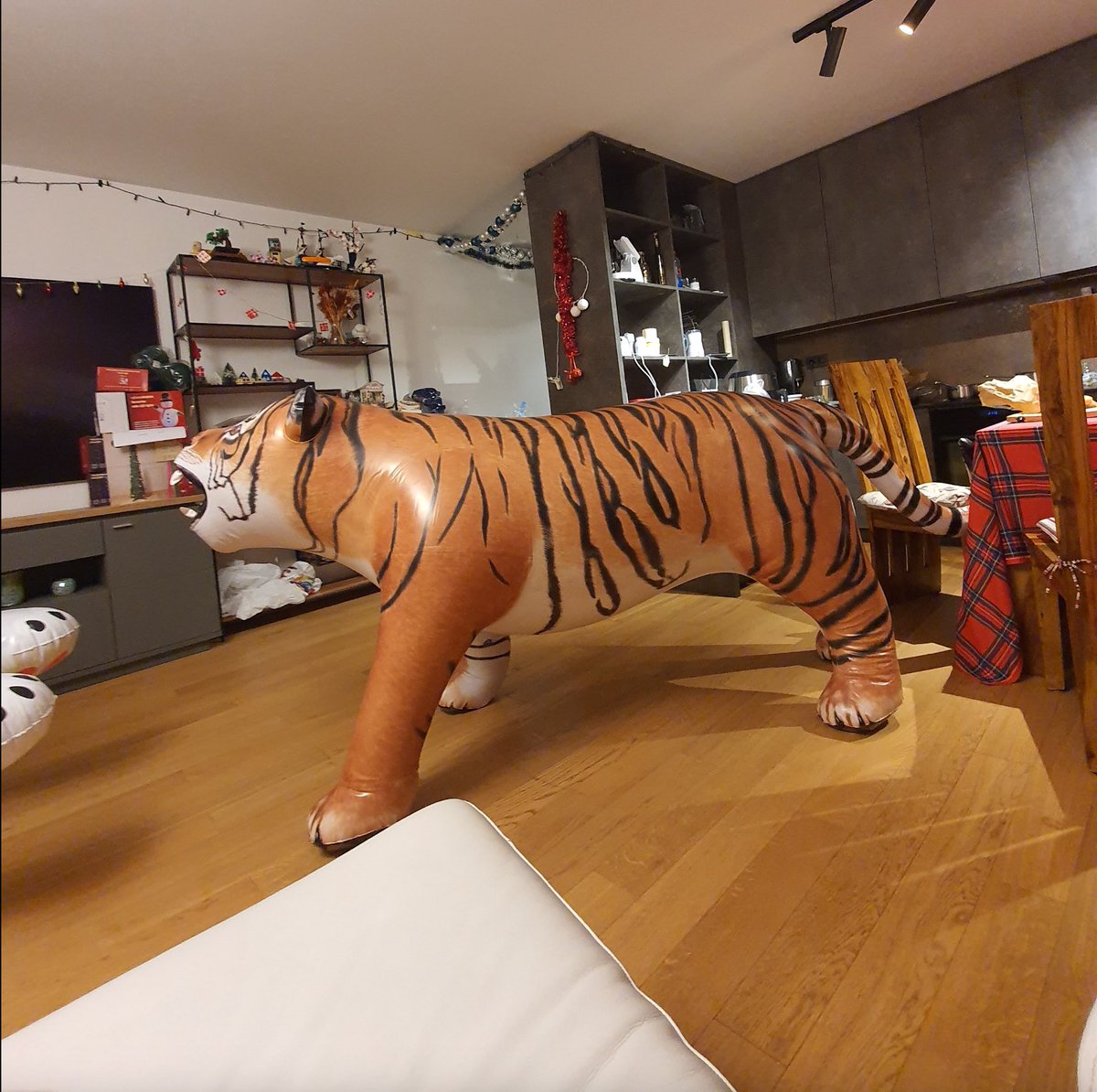 JetCreations's tweet image. Check out these lifelike Tiger photos shared by a happy customer @Racerbest_ ! 🐯 Featuring our new evolutionary lapped welding seams for extra strength and vibrant, realistic color printing. DM us to place your order today! #TigerInflatable #RealisticDesign