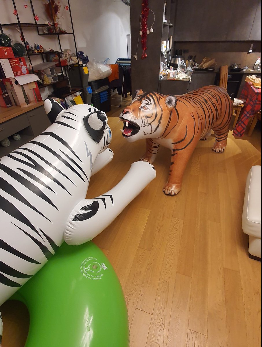 JetCreations's tweet image. Check out these lifelike Tiger photos shared by a happy customer @Racerbest_ ! 🐯 Featuring our new evolutionary lapped welding seams for extra strength and vibrant, realistic color printing. DM us to place your order today! #TigerInflatable #RealisticDesign