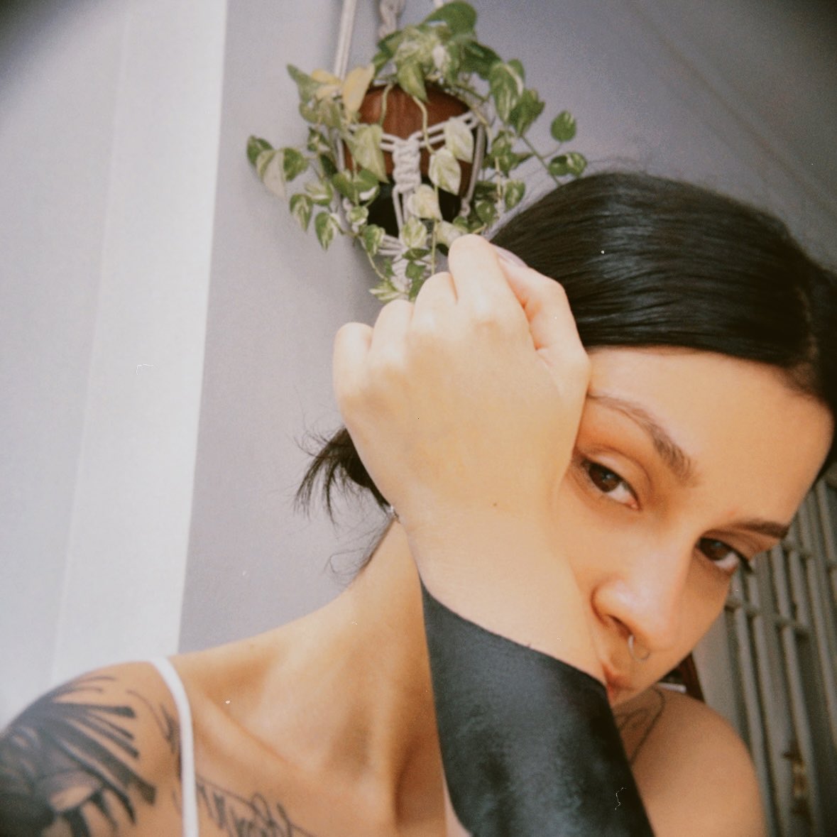 björkshire tweet media