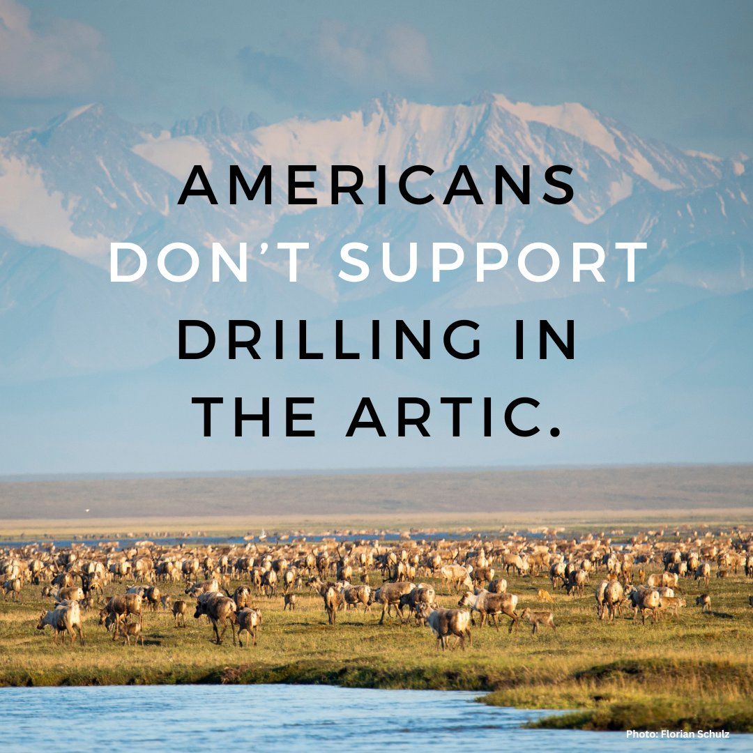 For years, we've worked alongside <a href="/OurArcticRefuge/">Gwich’in Steering Committee</a> &amp; Iñupiat allies to protect Arctic landscapes from destructive drilling. 

We won’t stop now. #ProtectTheArctic ✊🏾