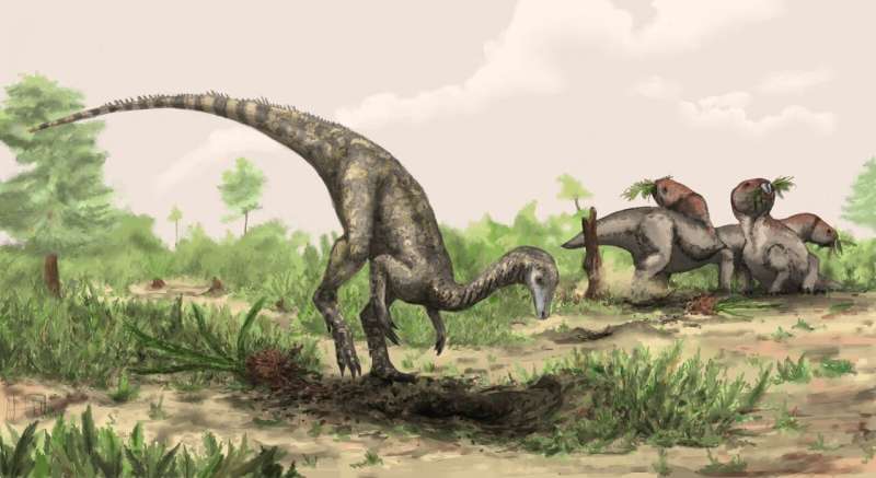 Phil Mannion (@pdmannion) on Twitter photo Where did dinosaurs originate? Our new paper, led by <a href="/ES_UCL/">EarthSciences UCL</a> PhD student Joel Heath (with <a href="/nhcooper123/">Natalie Cooper</a> & Paul Upchurch), accounts for variation in sampling within biogeographic analyses to indicate a novel a low paleolatitude origin for dinosaurs: cell.com/current-biolog… Where did dinosaurs originate? Our new paper, led by <a href="/ES_UCL/">EarthSciences UCL</a> PhD student Joel Heath (with <a href="/nhcooper123/">Natalie Cooper</a> & Paul Upchurch), accounts for variation in sampling within biogeographic analyses to indicate a novel a low paleolatitude origin for dinosaurs: cell.com/current-biolog…