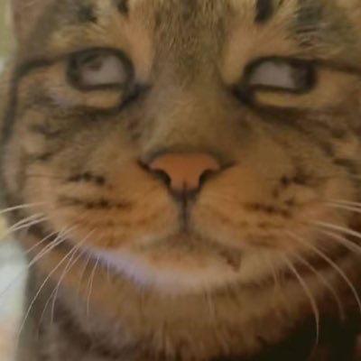 han69443's tweet photo. #新头像 https://t.co/ghoCk6hrNe