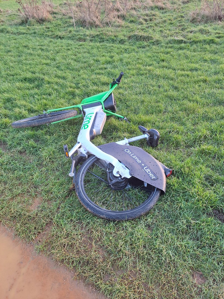 LouiseRuns 🌹🇬🇧 🇪🇺 tweet media