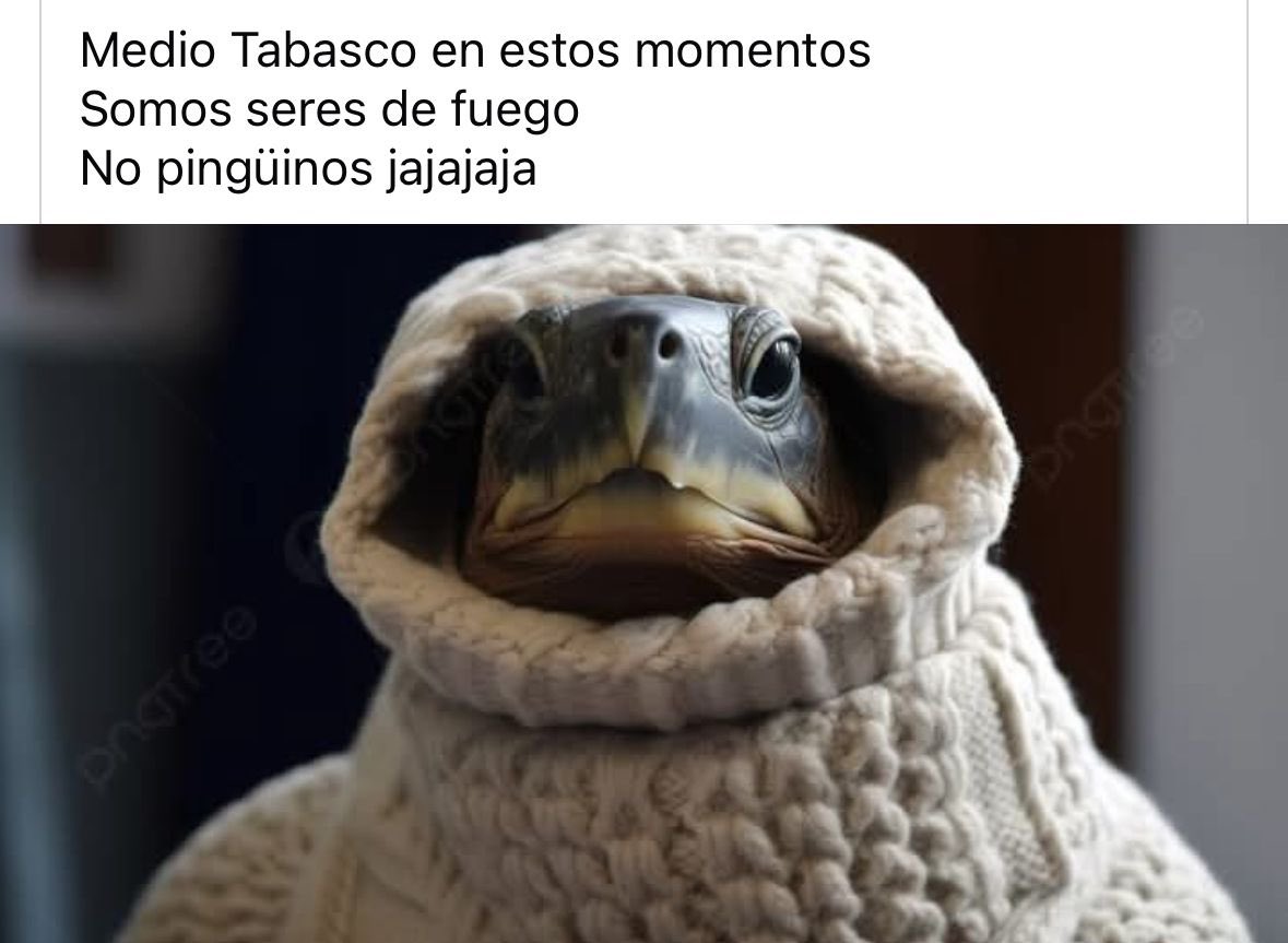 silpriero's tweet photo. https://t.co/a78PAueHw7