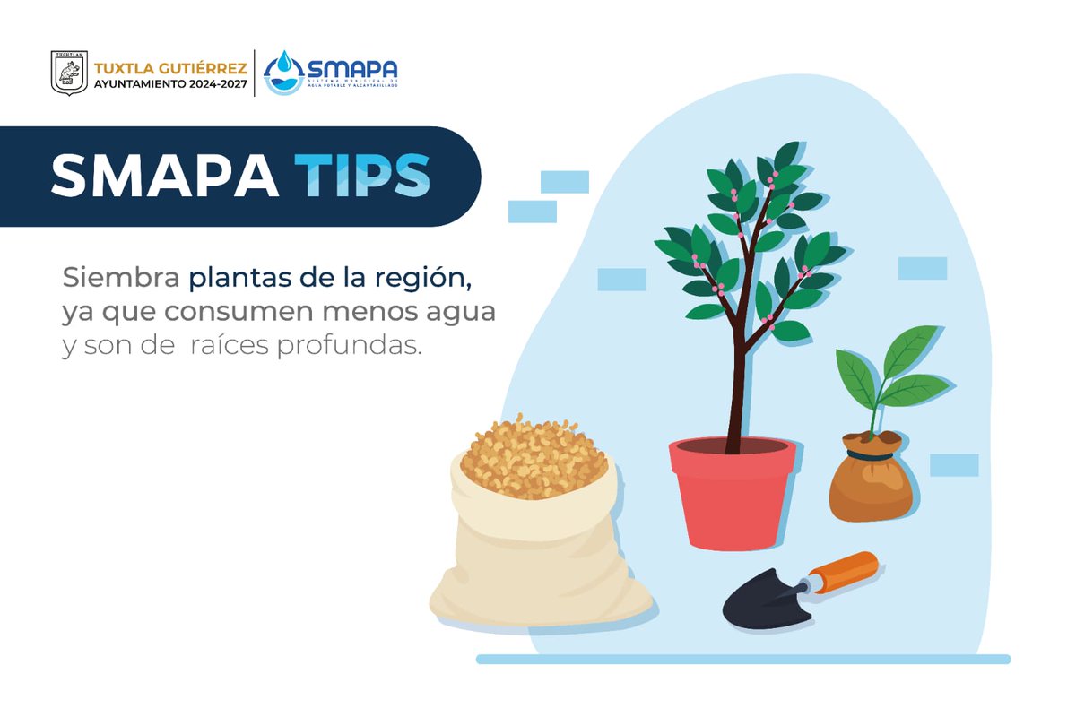 TuxtlaSMAPA's tweet photo. #SMAPATips
•Siembra plantas de la región, ya que consumen menos agua y son de raíces profundas. 
•Evita usar manguera para regar las plantas.
•Riega las plantas, por las noches para evitar la evaporación del agua. https://t.co/KV0UCDgFDh