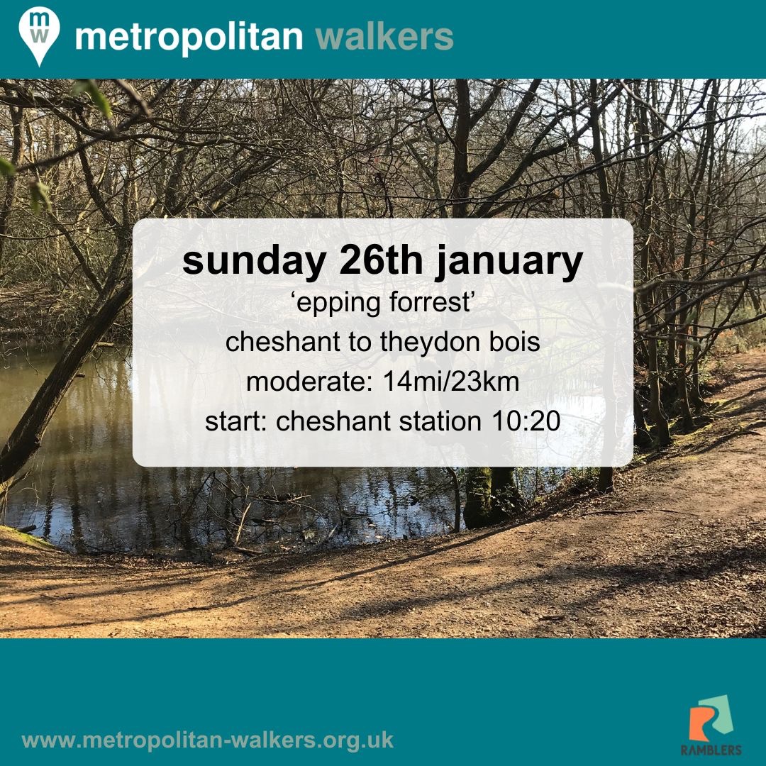 Metropolitan Walkers👣 tweet media