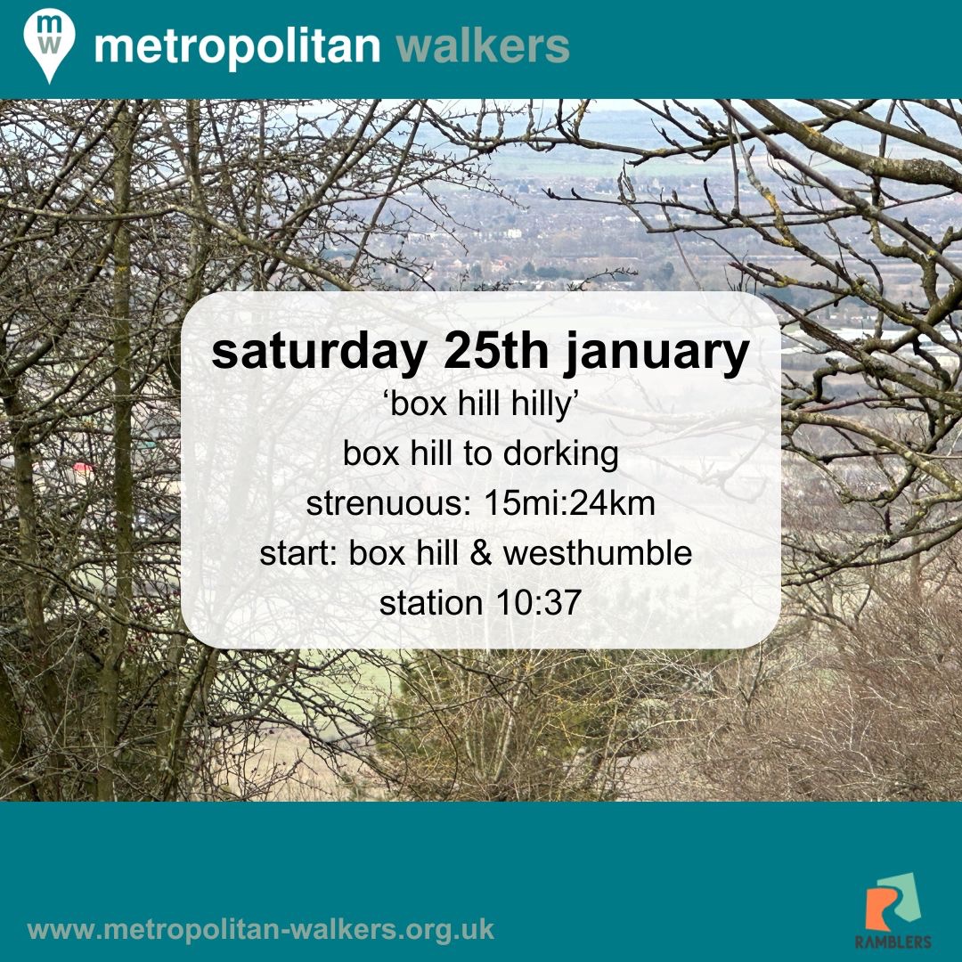 Metropolitan Walkers👣 tweet media
