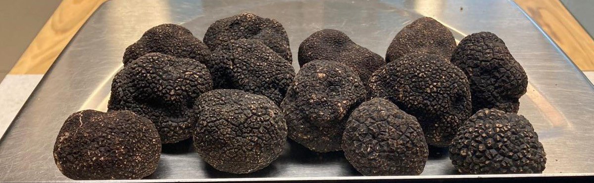 johnwine's tweet image. Tanto Tartufo Nero , chi ci si tuffa?