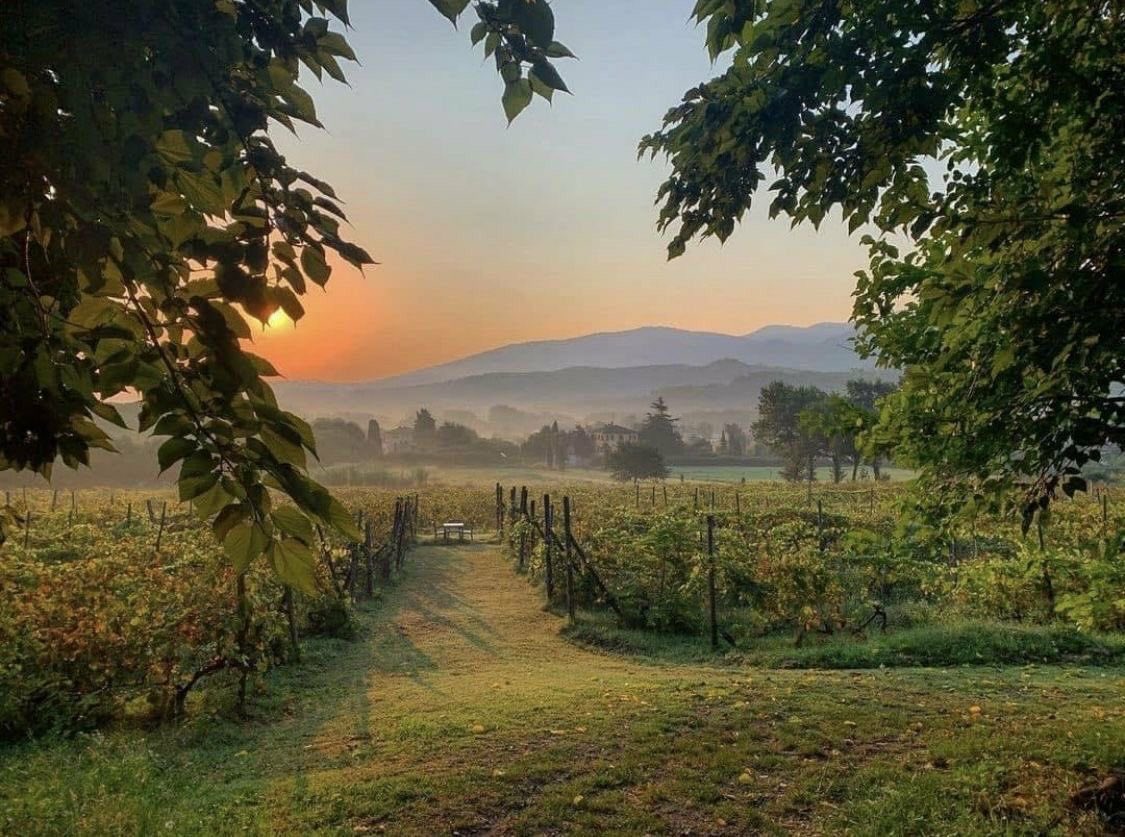 Let go of stress and surrender to nature 🌿