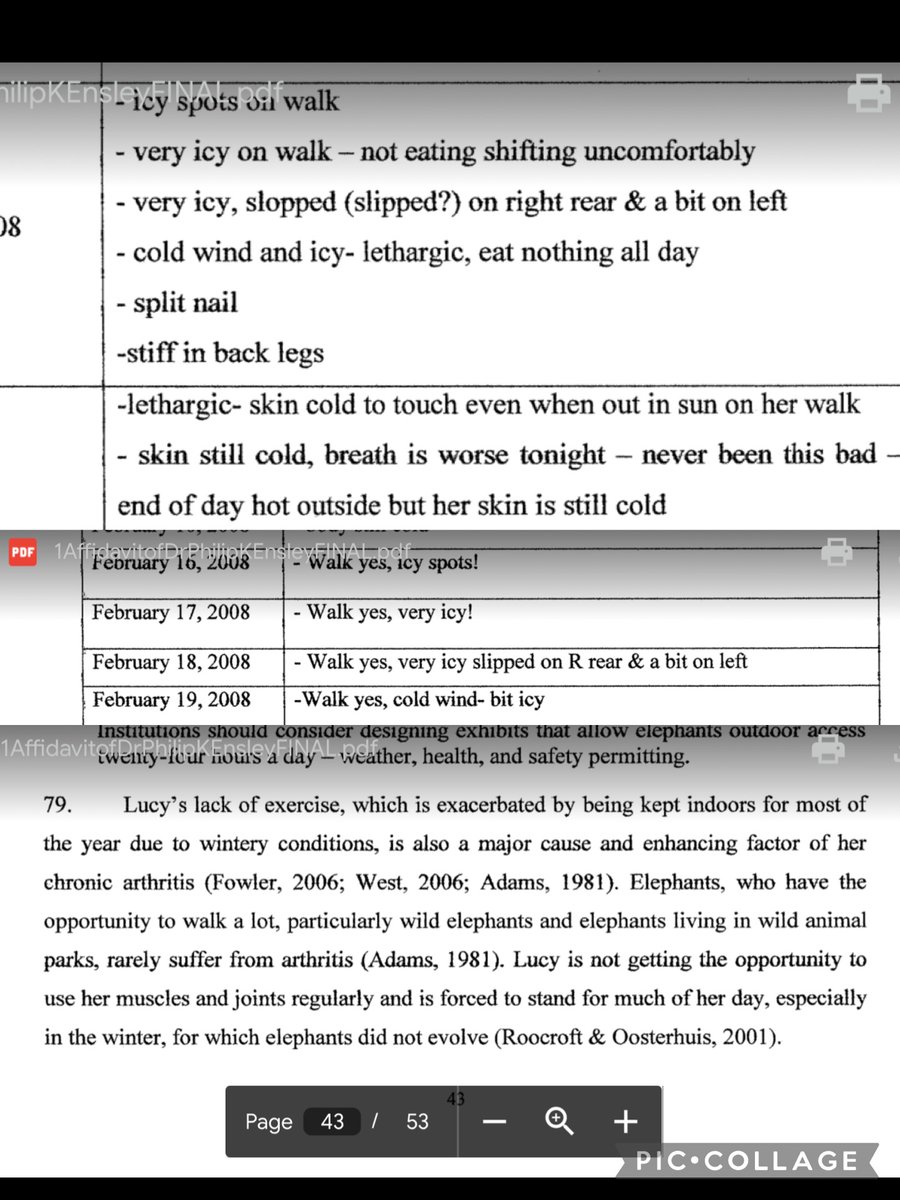 <a href="/welovelucyyeg/">Take Action For Lucy</a> <a href="/AmarjeetSohiYEG/">Amarjeet Sohi</a> <a href="/AndrewKnack/">Andrew Knack</a> <a href="/edmonton_anne/">Anne Stevenson</a> Deliberately Freezing #lucy as DOCUMENTED in #yeg official vet records  as yet no Council has acted ethically to stop the annual winter cruelty of 🐘🥶.   
admitted many times in council meetings #yegzoo is below legal standard conditions
Edmonton #tourism #AnimalCruelty 
#TAFL