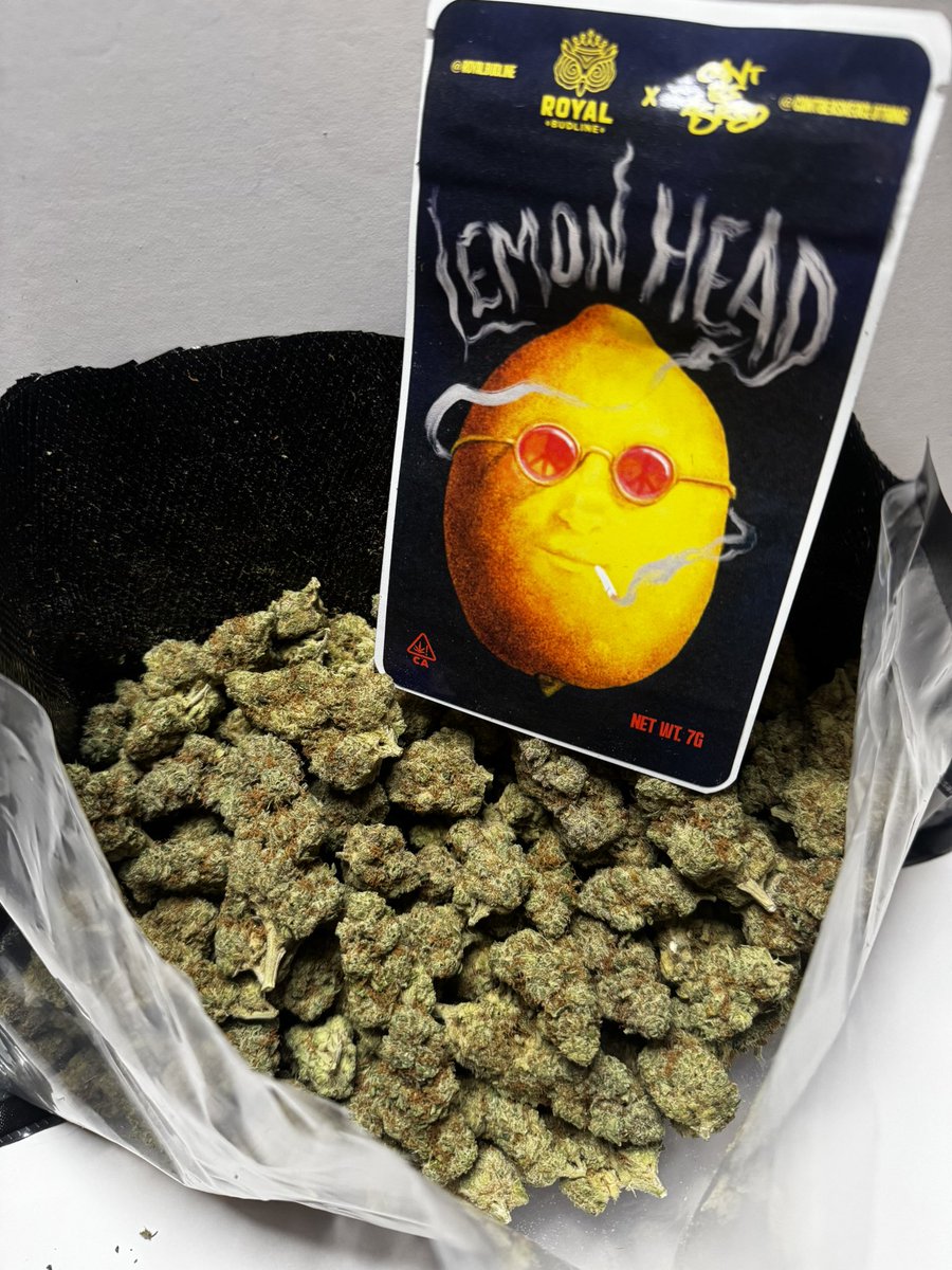 ToolzExotics's tweet photo. @CantBeAskedCo 
@royalbudline 
Limonene terps bouncing off the walls on this one😮‍💨 Like fresh lemonade 🍋 https://t.co/IZ2QCCmdXC