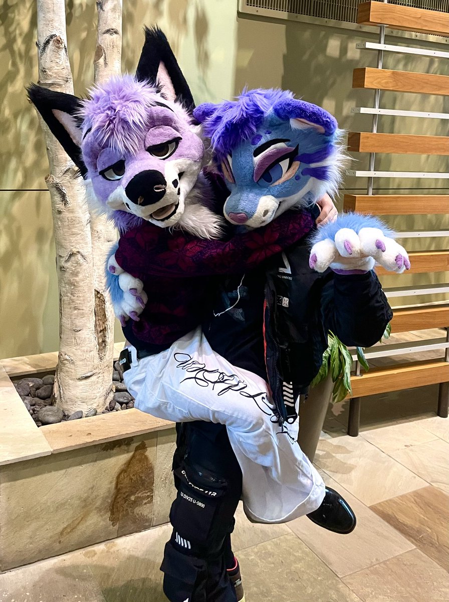 Met the cutest, sleepy Fox, <a href="/lutherspaws/">luther♏️</a>! He’s so light hehe ~