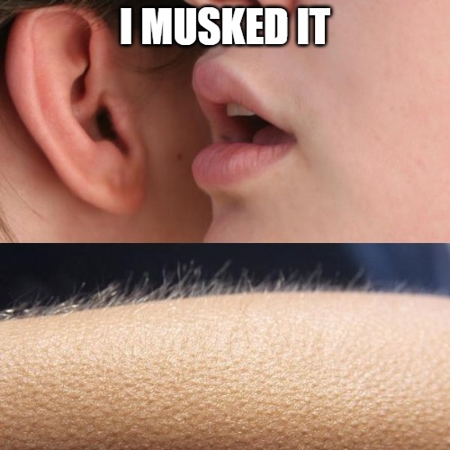 Musk It (@justmuskit) on Twitter photo 