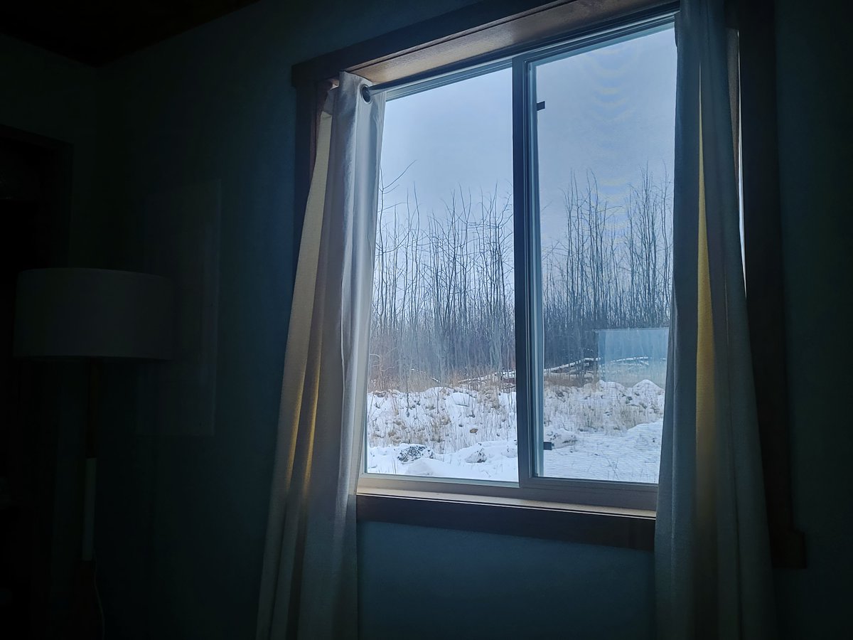 Gm gm! Hope you all have a wonderful Thursday! 

New moment on <a href="/remx_xyz/">Remx</a> 

Winter's Cry

Through the frosted pane, the outside speaks,
A quiet realm where winter peaks.
Bare trees reach with slender grace,
Against the sky, their silent embrace.
Snow blankets earth in muted tones,